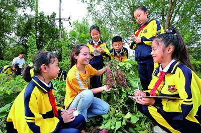 茫然对能工巧匠更向往PG电子对未来职业不